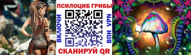 Галлюциногенные грибы Psilocybe  закладка  Ивантеевка 